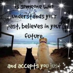 Meet your Posher, Janet